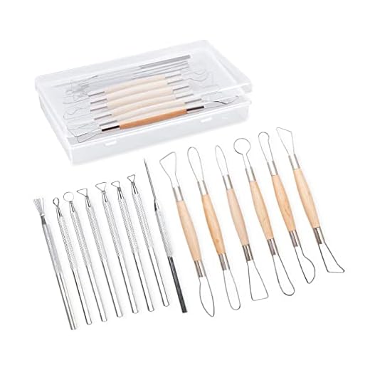 14PCS Ceramic Pottery Clay Ribbon Sculpting Tool Kit with Feather Wire Texture and Needle Detail Tools for Carving/Scraping, Modeling,by Augernis