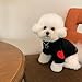 Winmany Hundepullover für kleine und mittelgroße Hunde, Herzaufnäher, Rollkragen-Sweatshirt, für Katzen, Welpen, Frühling, Herbst, Winter (schwarz, L)