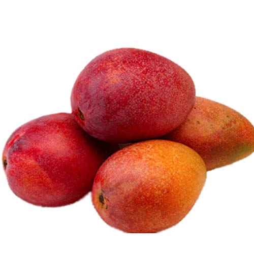 �y�{�茧�Y�z���n�}���S�[�~�j ��400�`500g
