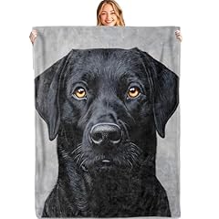 Black Labrador
