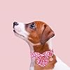 UP URARA PUP Valentine’s Dog Collar with Bow Tie, Pink Heart Bowtie Collar with Metal Buckle, Valentine’s Gift Pet Collar for Puppy Girl Boy Dog or Cat, Wedding Dog Collar, S #3