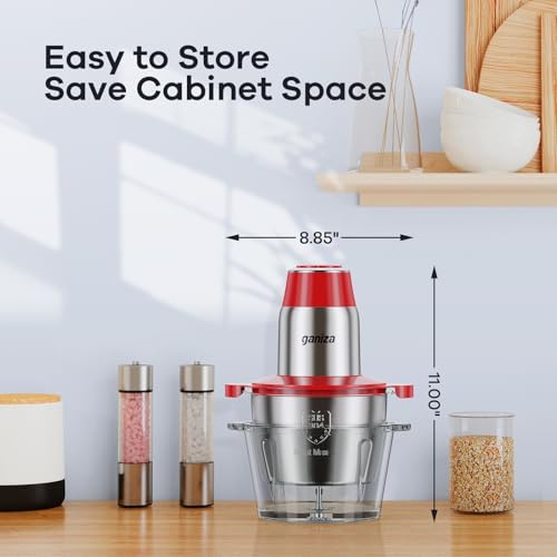 GANIZA Electric Food Chopper with Meat Grinder Review
