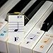 QMG Piano Keyboard Stickers for 88/76/61/54/49/37 Key Large Letter Piano Stickers for Learning, Removable Piano Keyboard Letters, Notes Label for Beginners and Kids, Made in USA
