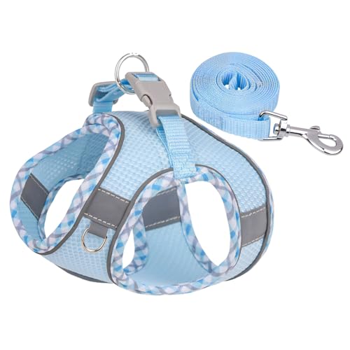 azumafy p n[lX  [ht ^ ^ U  [v n[lXZbg [hZbg jO g[jO L ˌ 킢 EȒP (u[, S)