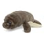 Manatee
