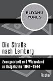 Die Straße nach Lemberg: Zwangsarbeit und Widerstand in Ostgalizien 1941–1944 (Die Zeit des Nationalsozialismus. 'Schwarze Reihe'.) (German Edition)
