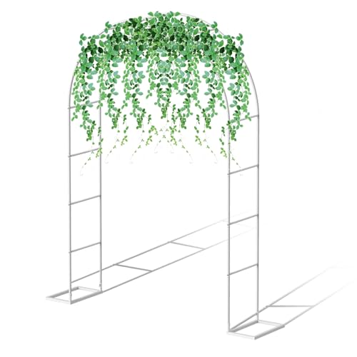 Tonnelle de jardin extérieure en métal et treillis pour rosiers