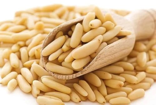 Image of SONAV FOODS Pine Nuts 100 GM | Chilgoza Dry Fruits | Without Shell | Nuts Jumbo Size Pine Nuts Chilgoze | Chilgoja