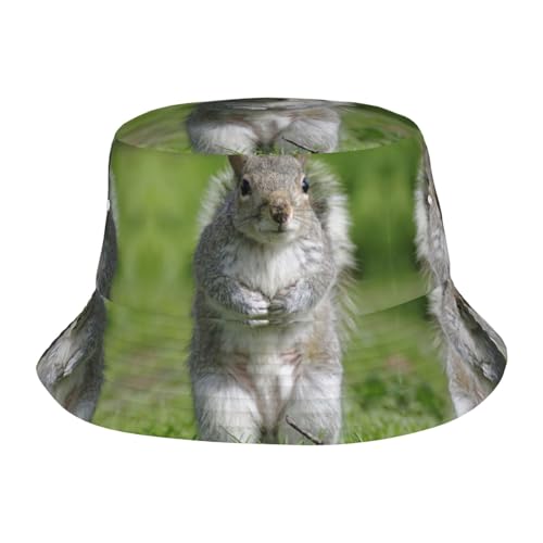 Gongjuy Sombrero de pescador para adultos, diseño de ardilla roja para las cuatro estaciones, protector solar, frío, UV, sombrero coreano a rayas