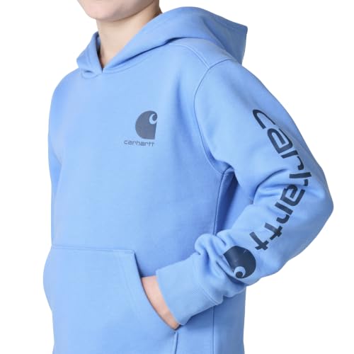 Image of Carhartt Kid's CA6272 Long-Sleeve Graphic Sweatshirt - Boys