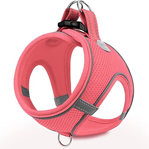 Joytale Step in Dog Harness,Soft Mesh Reflective Breathable Vest Harnesses,Easy Walk Harness with Safety Buckle for Extra Small and Small Dogs,S,Teal