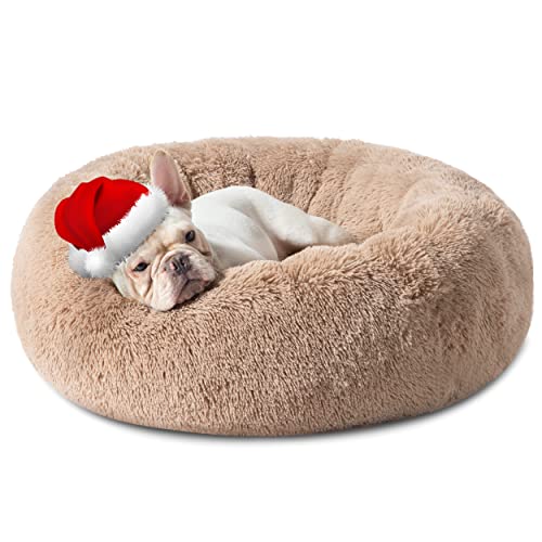 New Releases The bestselling new & future releases in