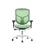 Mesh: Green / Frame: Black