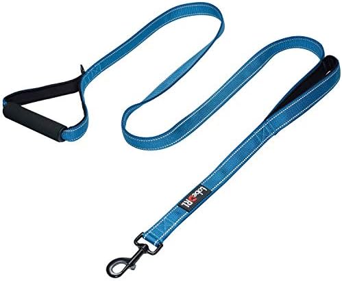 tobeDRI Heavy Duty Dog Leash - 2 Padded Handles, 6 feet Long - Dog Training Walking Leashes for Medium Large Dogs (Blue)