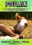  Poulain carnet de santé: Suivi journalier : Comportement, nourriture, santé, ... Analyse et bilan de santé pour vétérinaire  Journal de bord sur mon Poulain  Passion animaux 