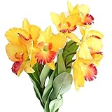Htmeing 3PCS Artificial Flowers Dendrobium Orchid Cattleya Orchid Latex Real Touch Green Plants for...