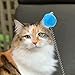 FRCOLOR 6pcs Cat Teaser Wands Cups Interactive Cat Toys for Playful Kittens Includes Springs and Bells for Exercise and Bonding