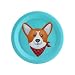 BirthdayExpress Puppy Dog Paw-ty Blue Corgi Party Dessert Plate (8)