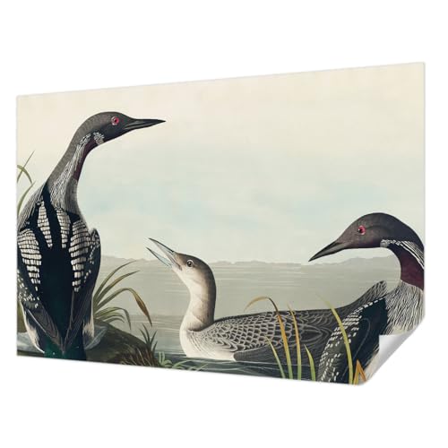Décor Mural Adhésif Oiseaux pour une Chambre à Coucher Cocooning