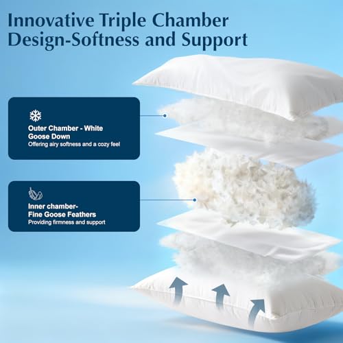 Luxury Goose Feather Down Pillows Queen Size Set of 2, 3-Chamber 5 Star Hotel Pillow for Deep Sleep, Soft Bed Pillows for Neck Pain Relief, Perfect for Side, Back Sleepers - 20"x30"