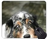 1.Vibrant Picture Perfect Colors - Las imágenes de más alta calidad disponibles;