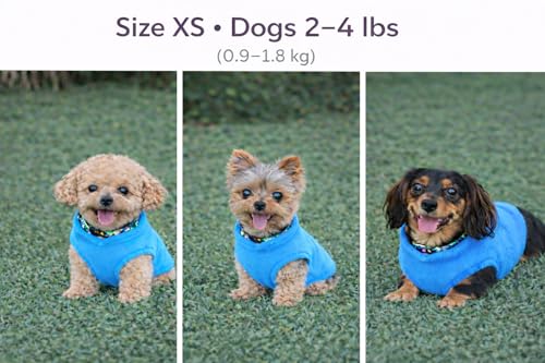 Image of JACKO & CO - Fleece Vest Dog Sweater with Leash Ring - Soft, Warm & Lightweight Pullover Coat for Small & Medium Dogs, Puppies & Cats - Cozy Fall /Winter /Spring Pet Jacket (Blue, X-Small 2-4lbs)