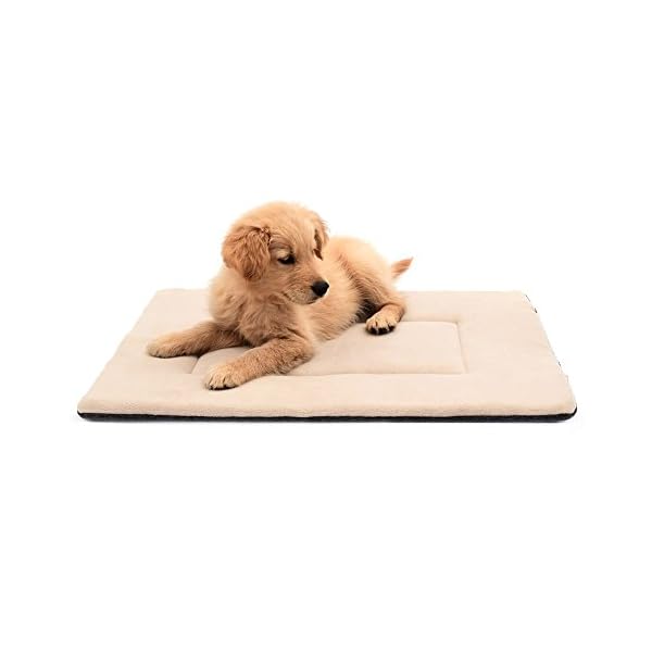 DERICOR Dog Bed Crate Pad - Comfortable and Stylish Bed Pads for Dogs