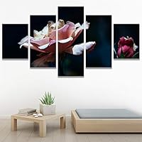 SIGNWIN 5 Panel Canvas Wall Art Modern Art Decorative Elements Dramatic Floral Multicolor Photography Single for Home Decorations Ready to Hang - 12