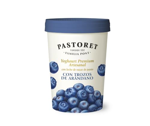 Pastoret, Yogurt Artesanal Premium con trozos de arándanos