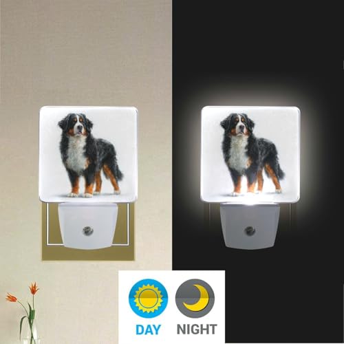 Lámpara nocturna LED para niños con sensor crepuscular miniatura 5