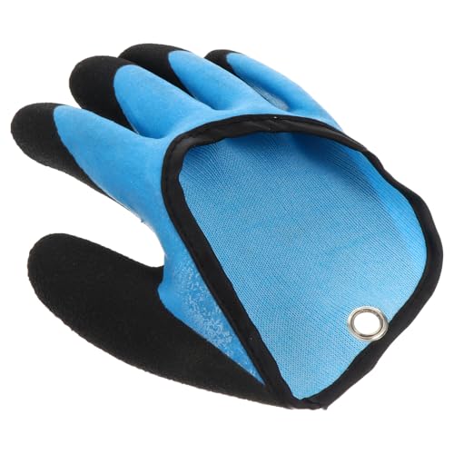 Sewroro h?蓅  Ep tBbVOO[u Jp یJo[ ʋCf JԂ\ ݌v