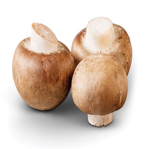 100pcs Fresh Mushroom Vegetable Seeds