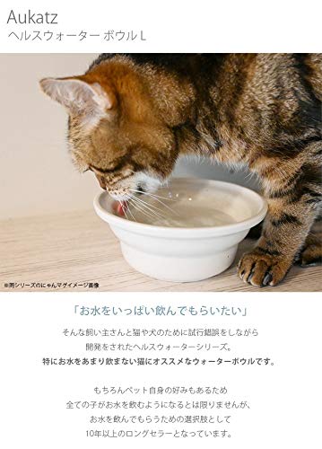 猫用自動給水器をやめた理由 5年使った結果 アル助 Blog