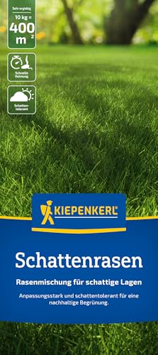 Kiepenkerl Profi-Line Schatten-Rasensamen 1085248 - Ideal für schattige und halbschattige Bereiche - Schnellkeimend - Anpassungsstark - RSM-Qualität - Saatgut