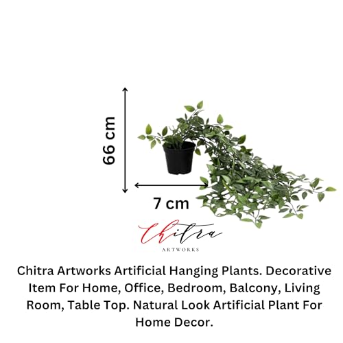 Image of Chitra Artificial Fern Plant with Pot Set of 6 Realistic Faux Greenery Indoor Decorative Plants for Home Living Room Office Tabletop Counter Decor Small Plastic Potted Plants for Shelf Desk Decoration