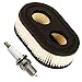 Produktbild OuyFilters Luftfilter mit Zündkerze Compatible with Rasenmäher-Motoren von Briggs & Stratton 798452 593260 Ersatzteil Oregon 30168 Rotary 14364
