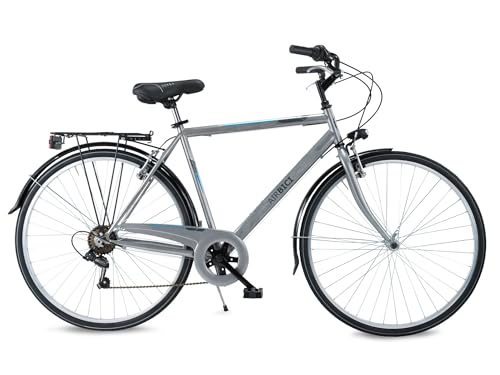 AIRBICI Fusion Man herenfiets, 28 inch, 6 versnellingen, stalen frame, aluminium velgen, ledverlichting, bagagedrager, schildersezel, Shimano-schakeling, (M (54), grijs)