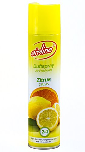 Preisvergleich Produktbild ECCO HANDELS U. Raumduft 300ml 2in1 Limette Grüner Tee