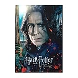 Displate Offiziell Harry Potter MetallPoster Magnetische 
