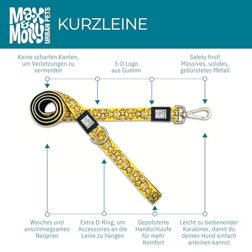 Laisse Max & Molly Café en taille M pour chien actif