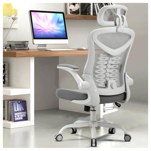 Magic Life Silla de Escritorio Sillas de Oficina Reposabrazos abatible de 90 ° Silla ergonómica para computadora Soporte Lumbar Altura Ajustable Giratoria de 360 ° Mecedora (Blanco)