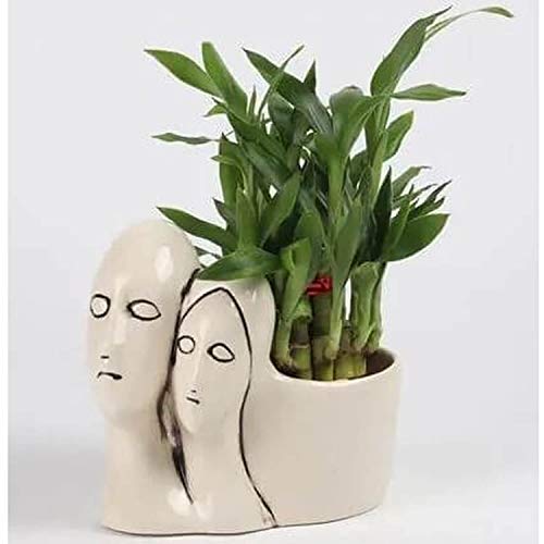 Image of Lasaki Couple Ivory Ceramic Pots for Indoor Plants, Planters, Flower, Pots, gamla, Outdoor, Balcony, Home, Garden, Office Decor, Succulent Pot(L - 16 X W - 10 X H - 14.5 cm)(Plants not Included)