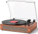 DANFI AUDIO DF Vintage