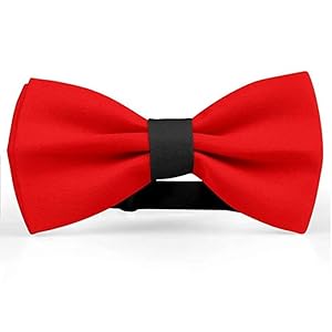 RR Design Dog Bow Tie/Dog Bow-tie/Dog Gift with Collar or Head Gear (Adjustable)-Red & Black