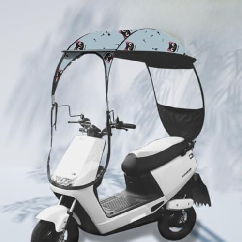 Citybaby"I[goCLms[]ԉ[^[]ԓ悯egPtg (C, obN~[Ȃ̎) [sAi]