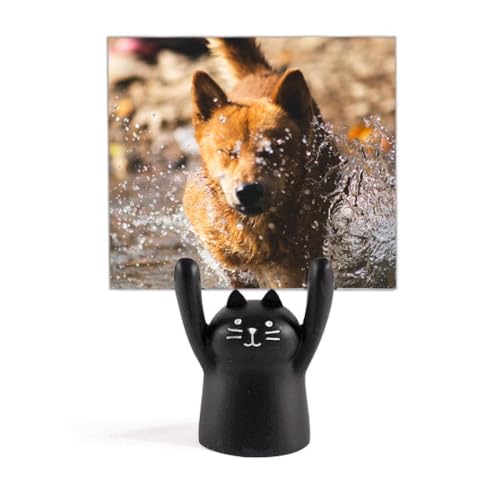 {̌̂킢̎ʐ^ J[gD[LX^h^z_[