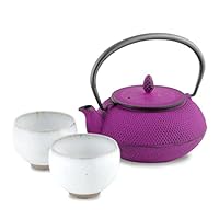 Amazon.co.jp: 南部鉄器急須と平清水焼湯呑みセット (あられ ドーム