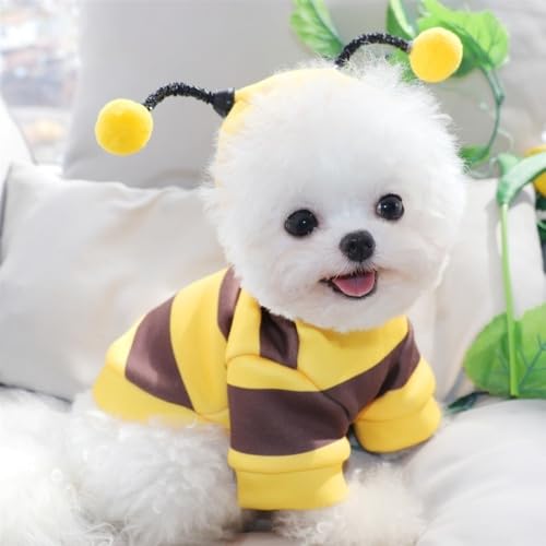 Sudadera para Perro y Gato Diseño Abeja Talla M miniatura 4