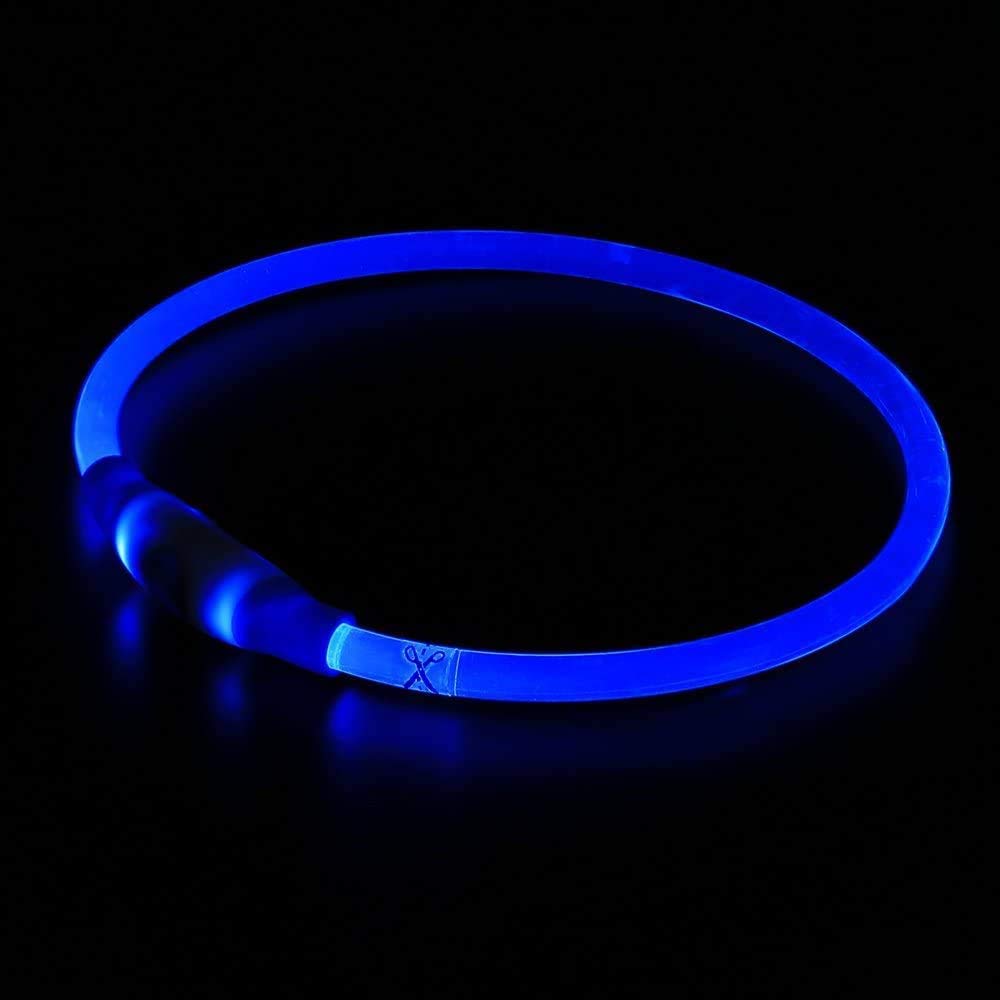 Bseen LED Dog Collar- USB Rechargeable- Light Up Dog Collars - Cuttable Size, Be Seen Dog Collars for Large Dogs Medium Dogs Small Dogs ,Safety and Cool Neon Dog Collar for Dog Walking at Night(Blue)