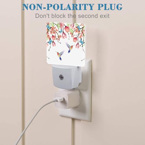 Image of Hummingbirds and Blue Butterflies Night Light Plug into Wall with Dusk to Dawn Sensor Cute Nightlight for Kid Girls Boys Women Men Room Decor, Hallway, Kitchen, Bathroom, Nursery, Stairs
